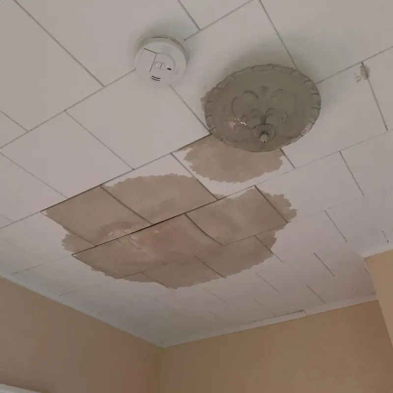 Ceiling Water Damage Repair in Mattapoisett Center, MA